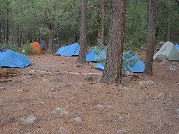 Campsite at Rayado River Camp